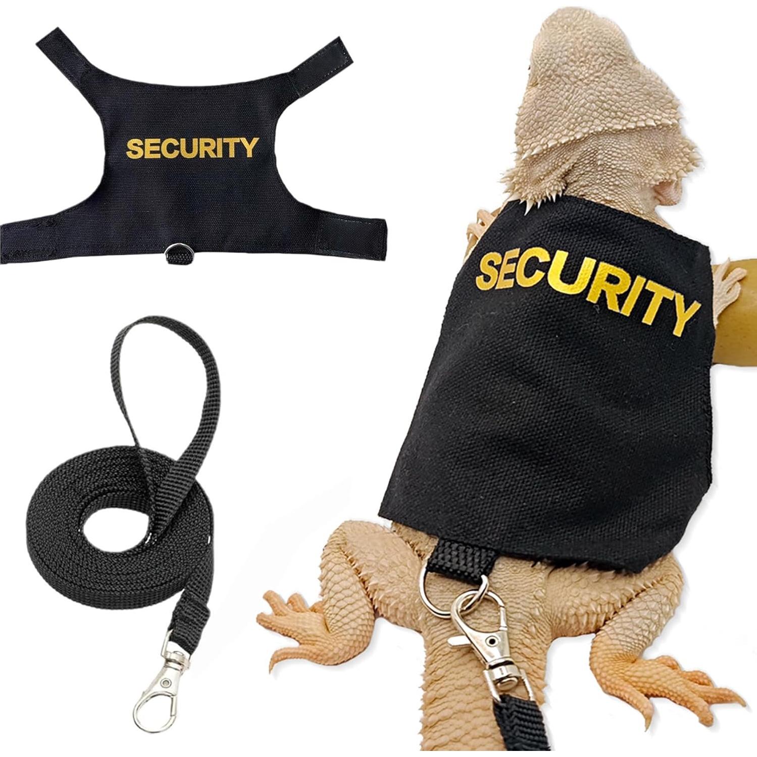 Conjunto de Arnés y Correa Ajustable CoguZed para Dragón Barbudo