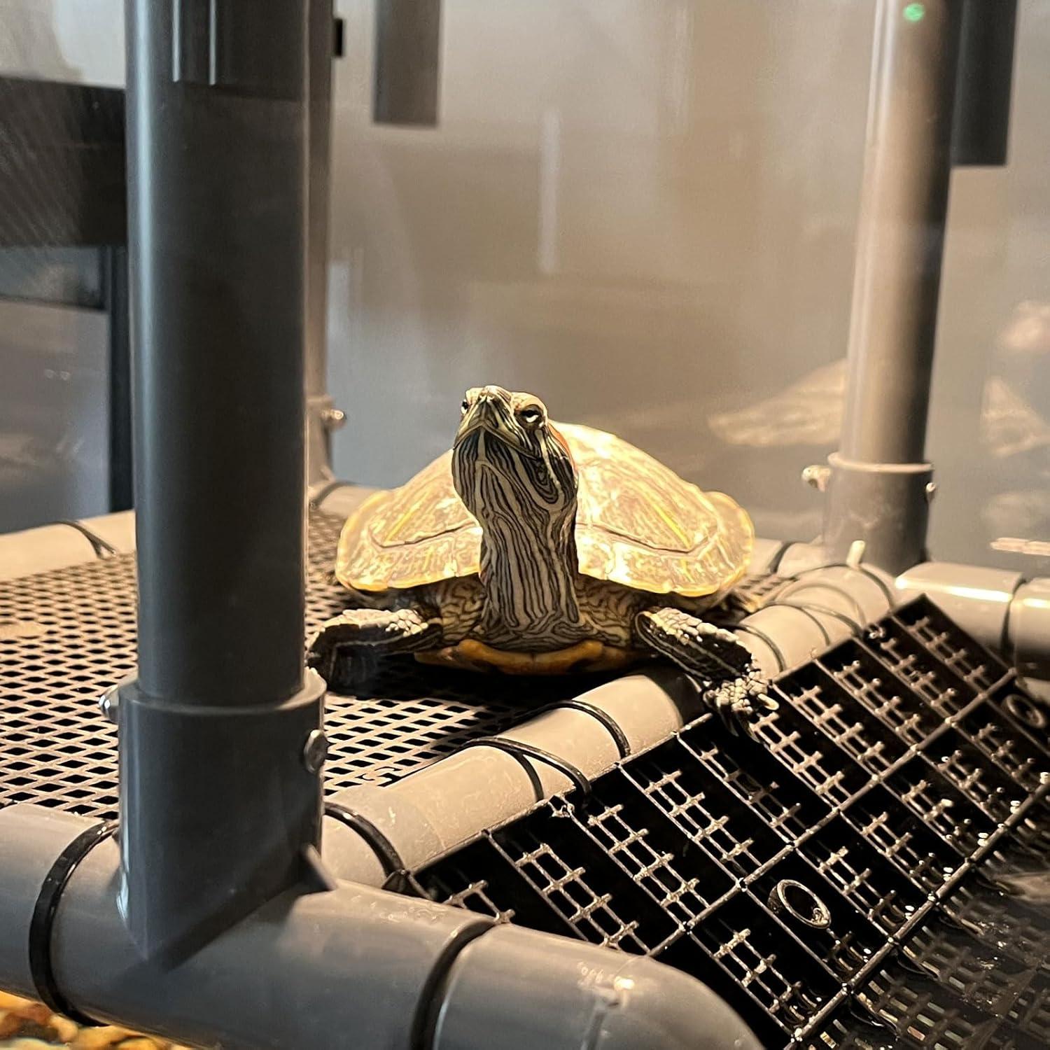 Plataforma de Sol para Tortugas Colgante MLONDHSU 33 cm