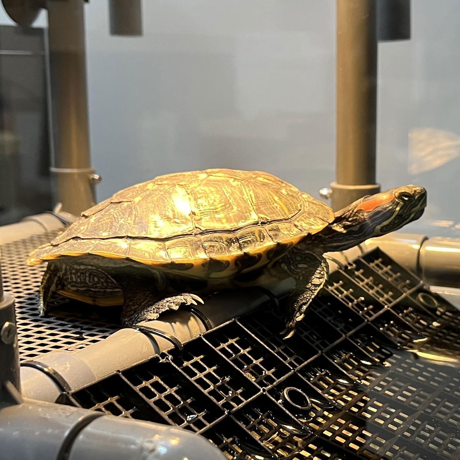 Plataforma de Sol para Tortugas Colgante MLONDHSU 33 cm