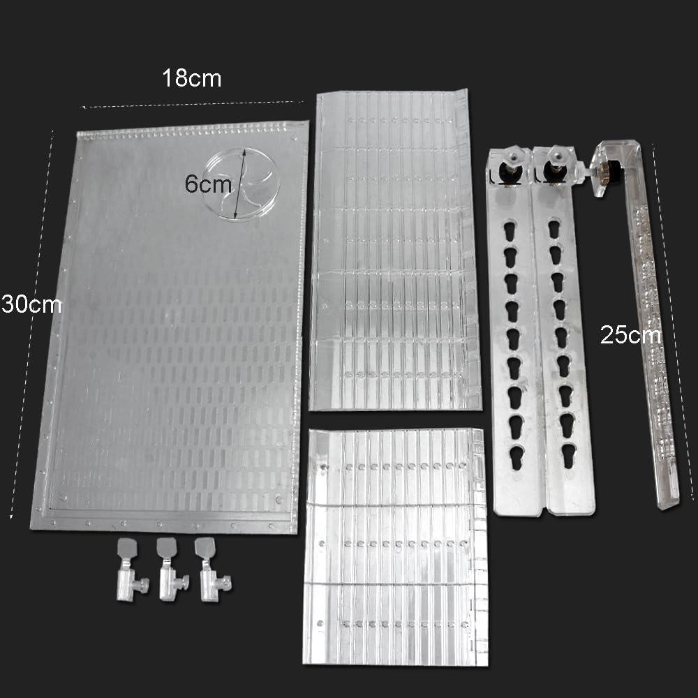Plataforma de Sol para Tortugas YXQ Grande Acrílico 30x18cm