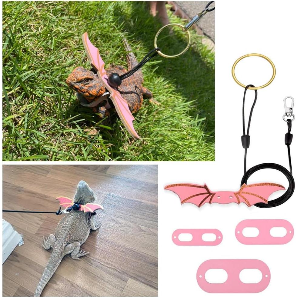 Conjunto Arnés y Correa Ajustable CoguZed para Dragón Barbudo S/M/L