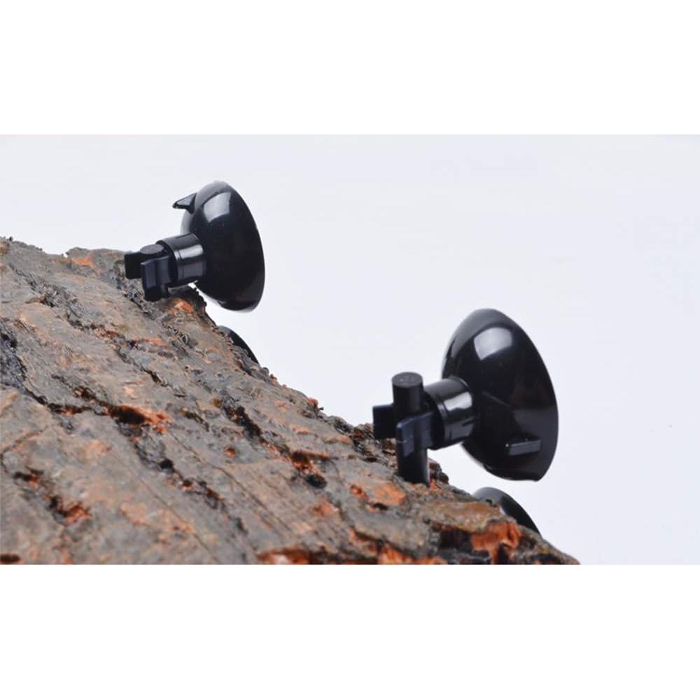 Plataforma Flotante para Tortugas Flushbay 23x12.5cm con Ventosas