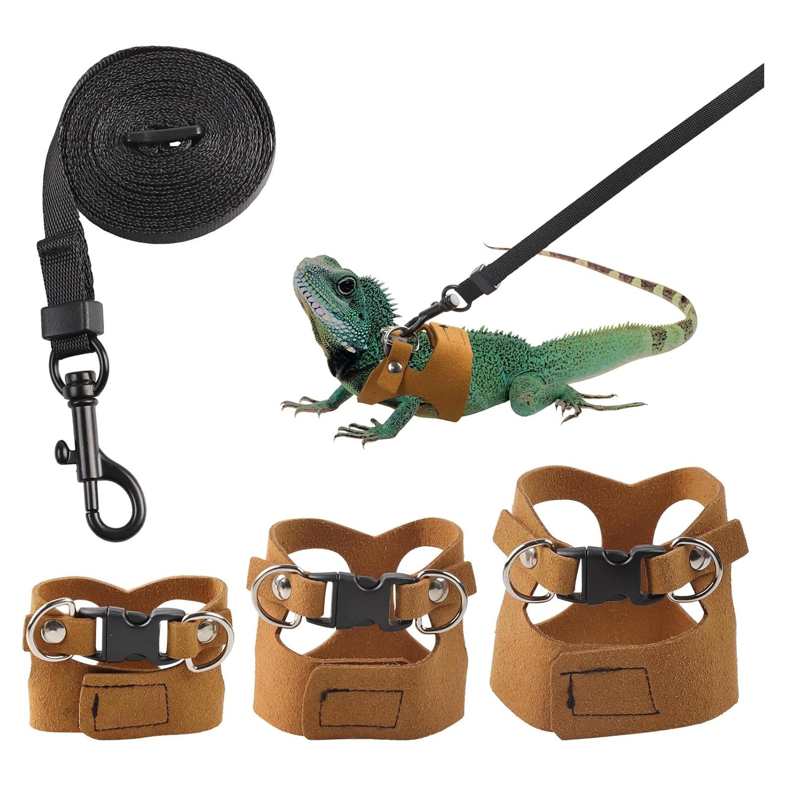 Conjunto de Arnés y Correa Ajustable Maxqzin para Reptiles