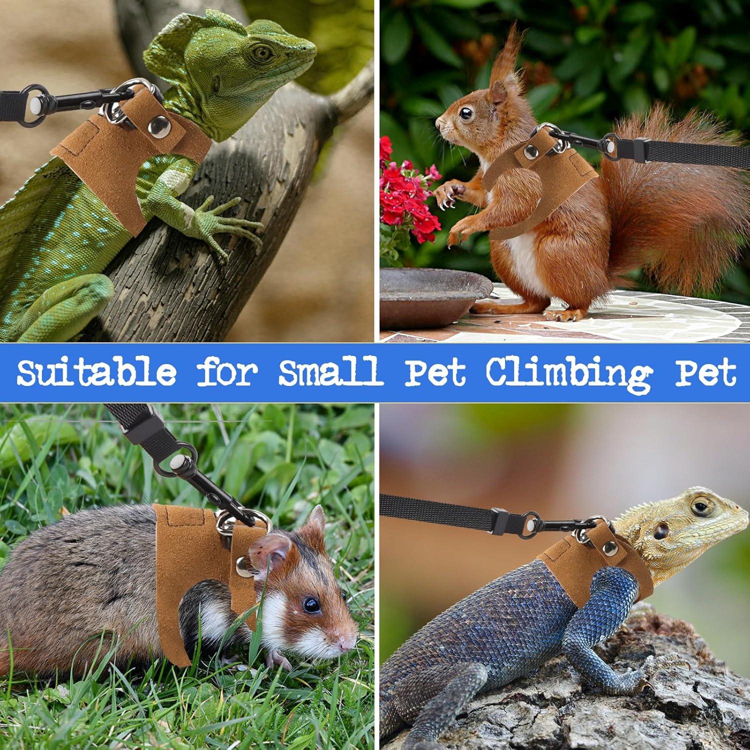 Conjunto de Arnés y Correa Ajustable Maxqzin para Reptiles