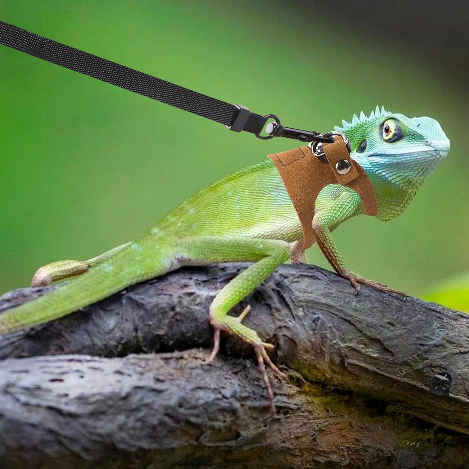 Conjunto de Arnés y Correa Ajustable Maxqzin para Reptiles