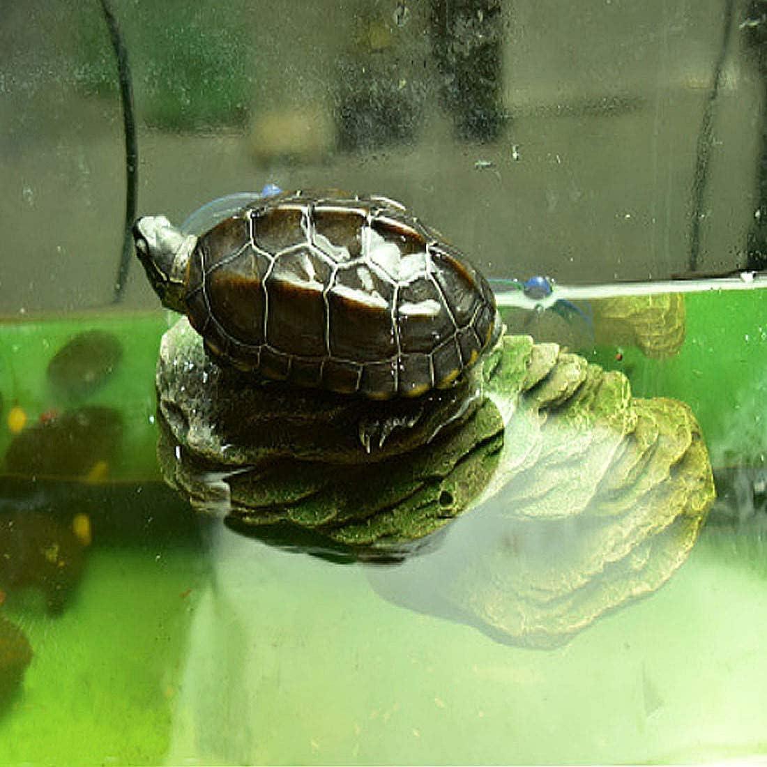 Plataforma de Sol para Tortugas PINVNBY 15.2x6.9 cm Resina