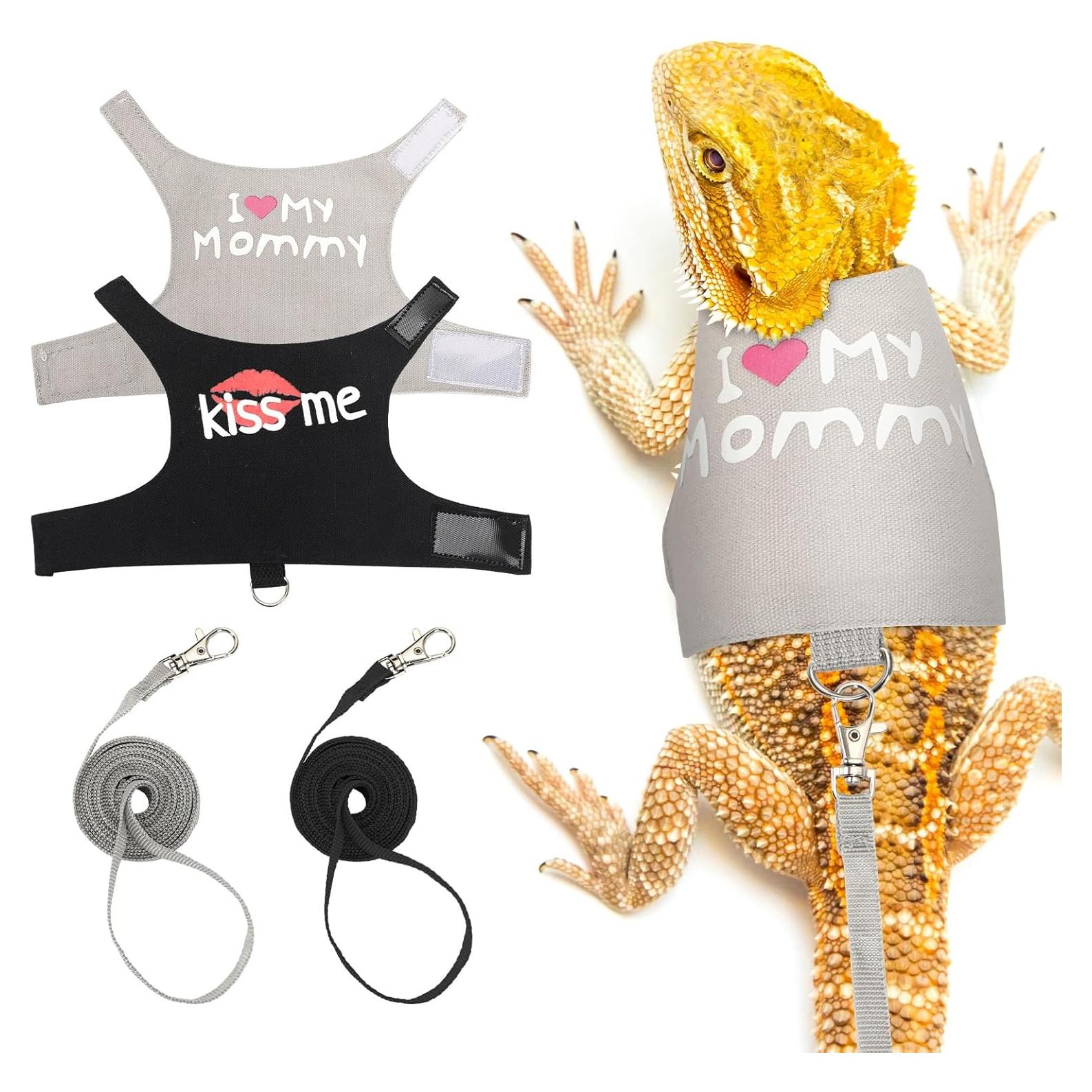 Juego de Arnés y Correa Ajustable PETKNOWS para Dragón Barbudo
