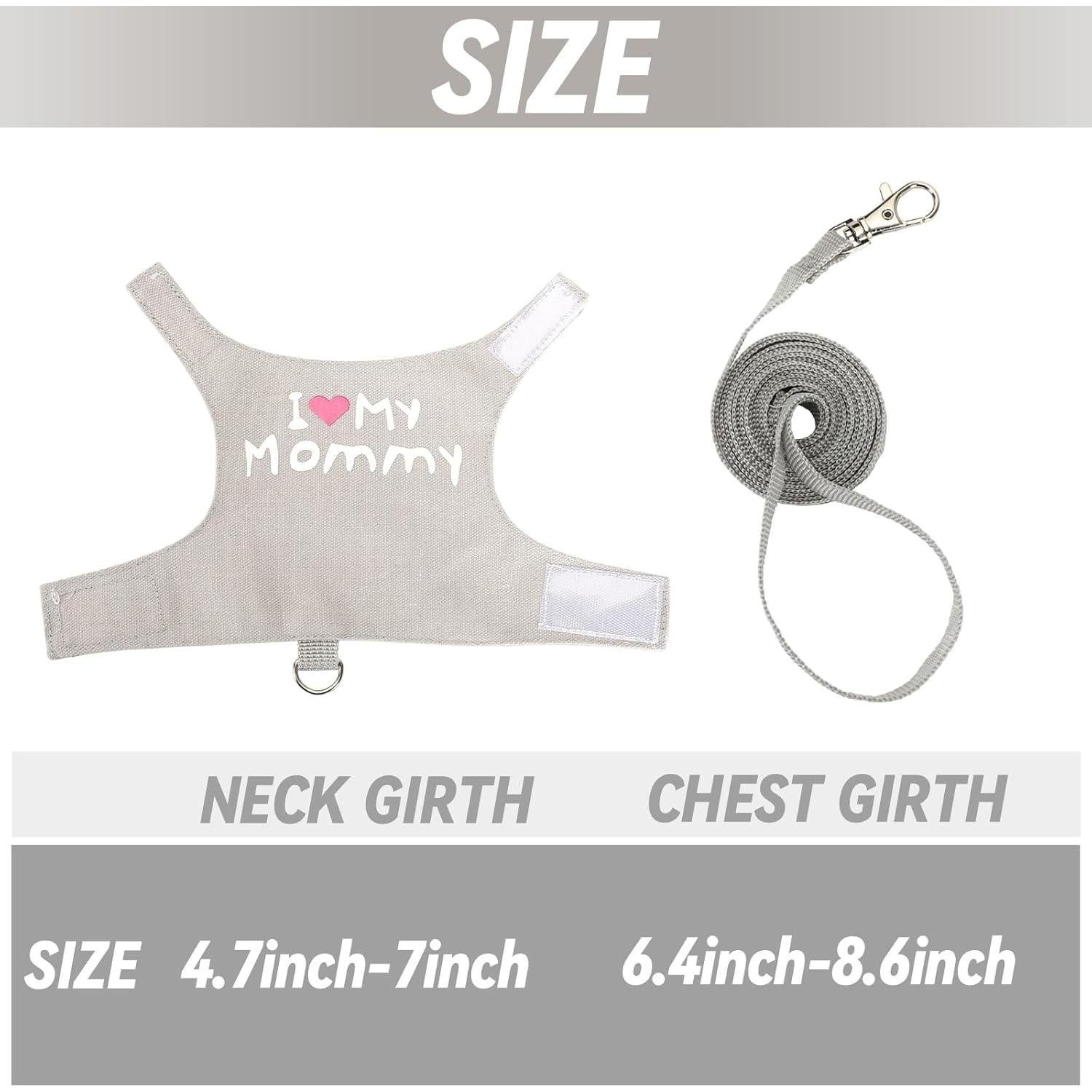 Juego de Arnés y Correa Ajustable PETKNOWS para Dragón Barbudo