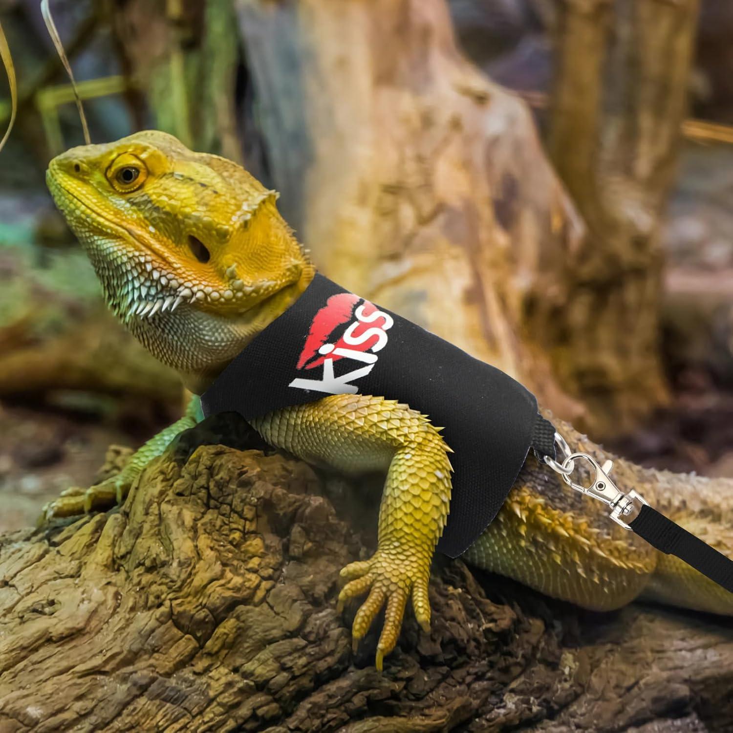 Juego de Arnés y Correa Ajustable PETKNOWS para Dragón Barbudo