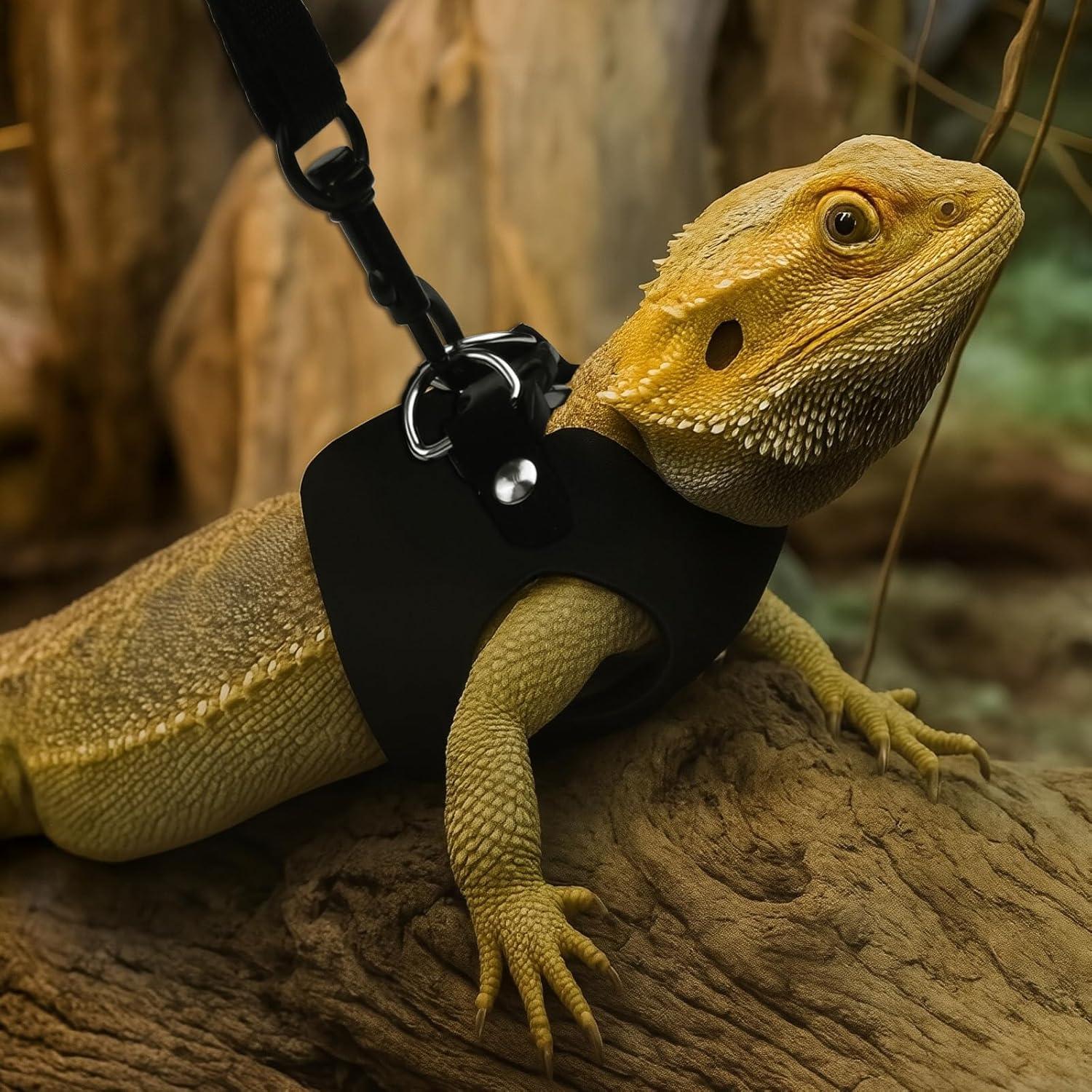 Juego de Correa y Arnés Ajustable Asofelk para Reptiles S/M/L