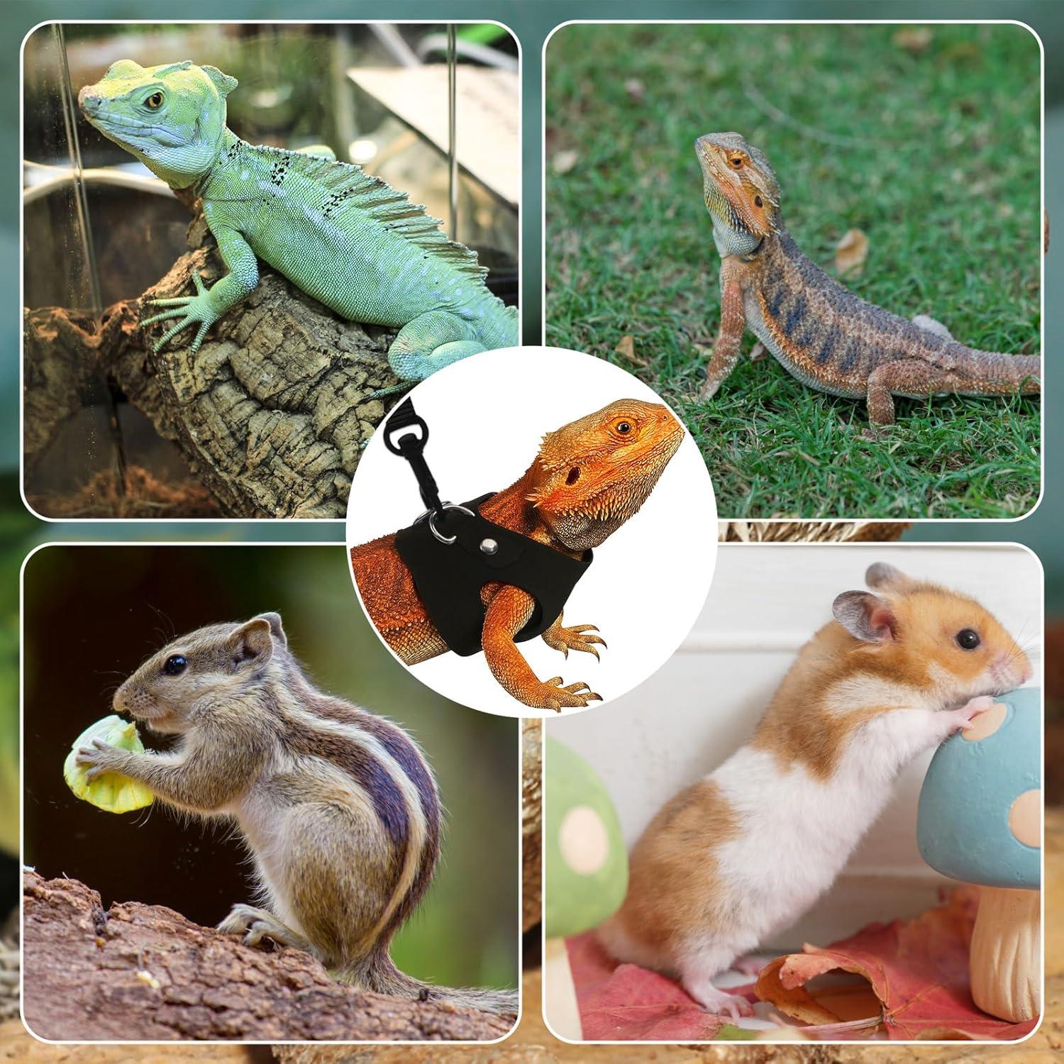 Juego de Correa y Arnés Ajustable Asofelk para Reptiles S/M/L