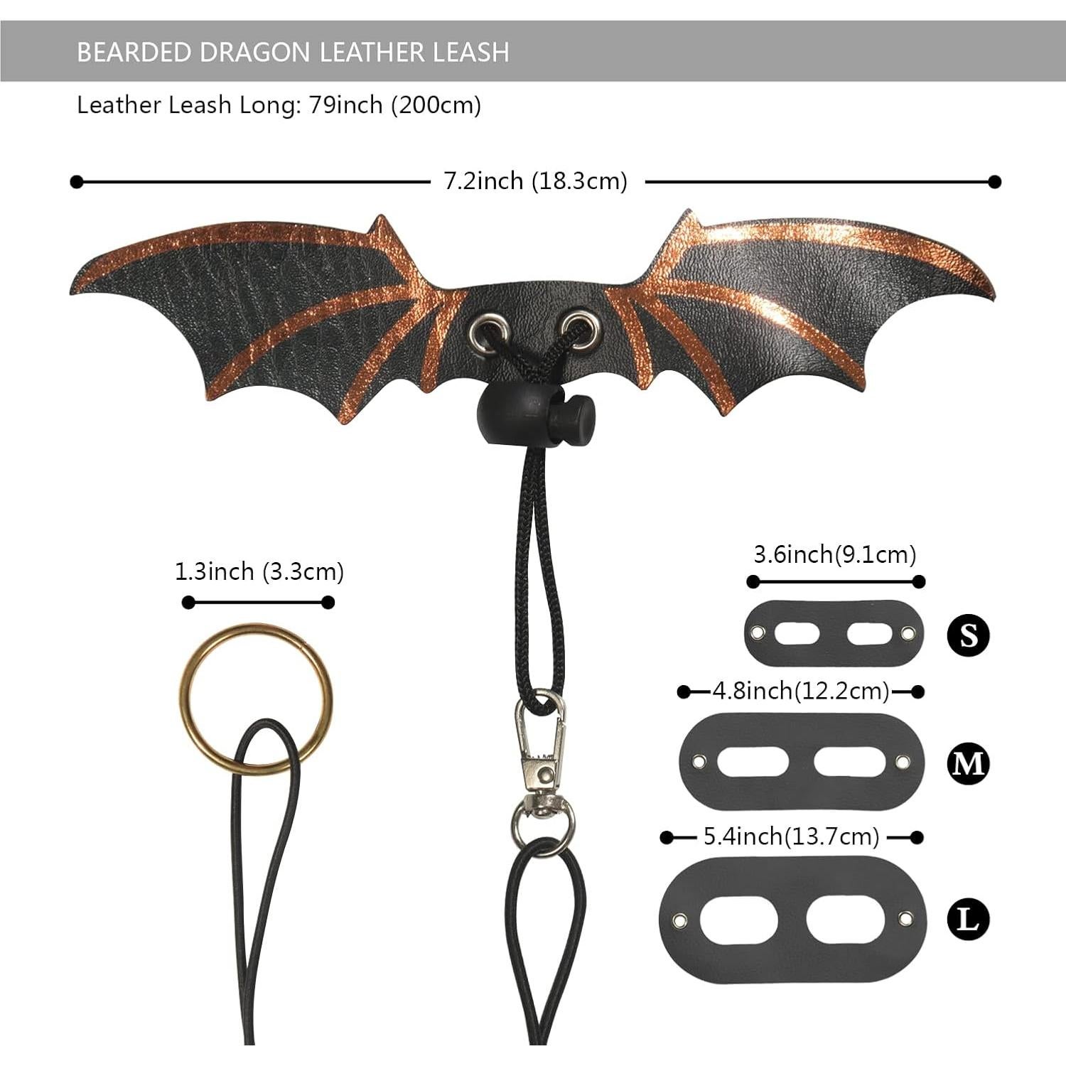 Conjunto Transportador y Correa para Dragón Barbudo Yosadol