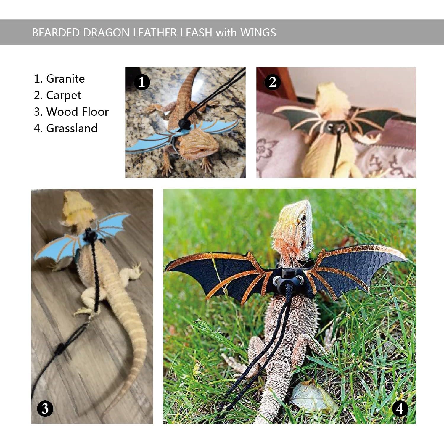 Conjunto Transportador y Correa para Dragón Barbudo Yosadol