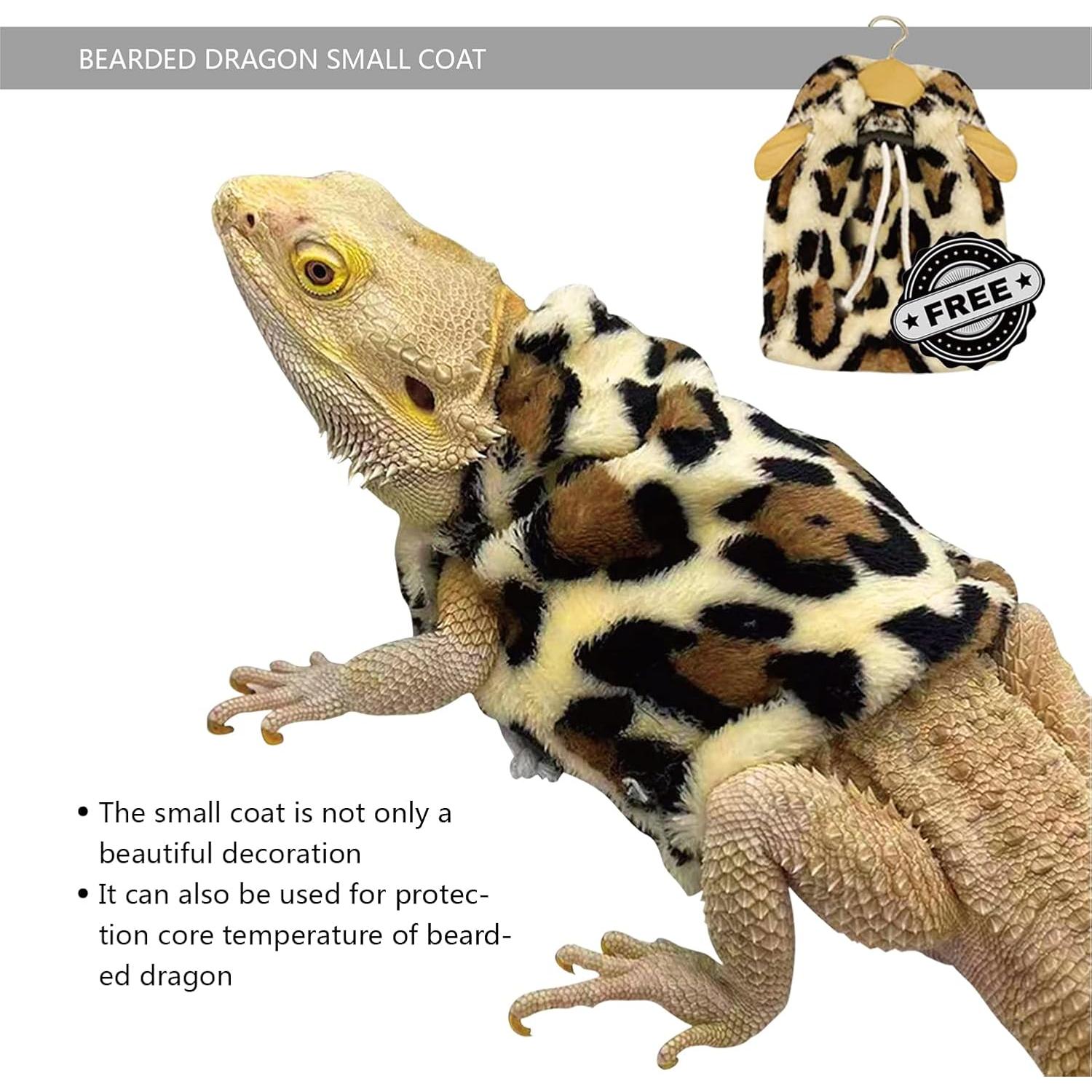 Conjunto Transportador y Correa para Dragón Barbudo Yosadol