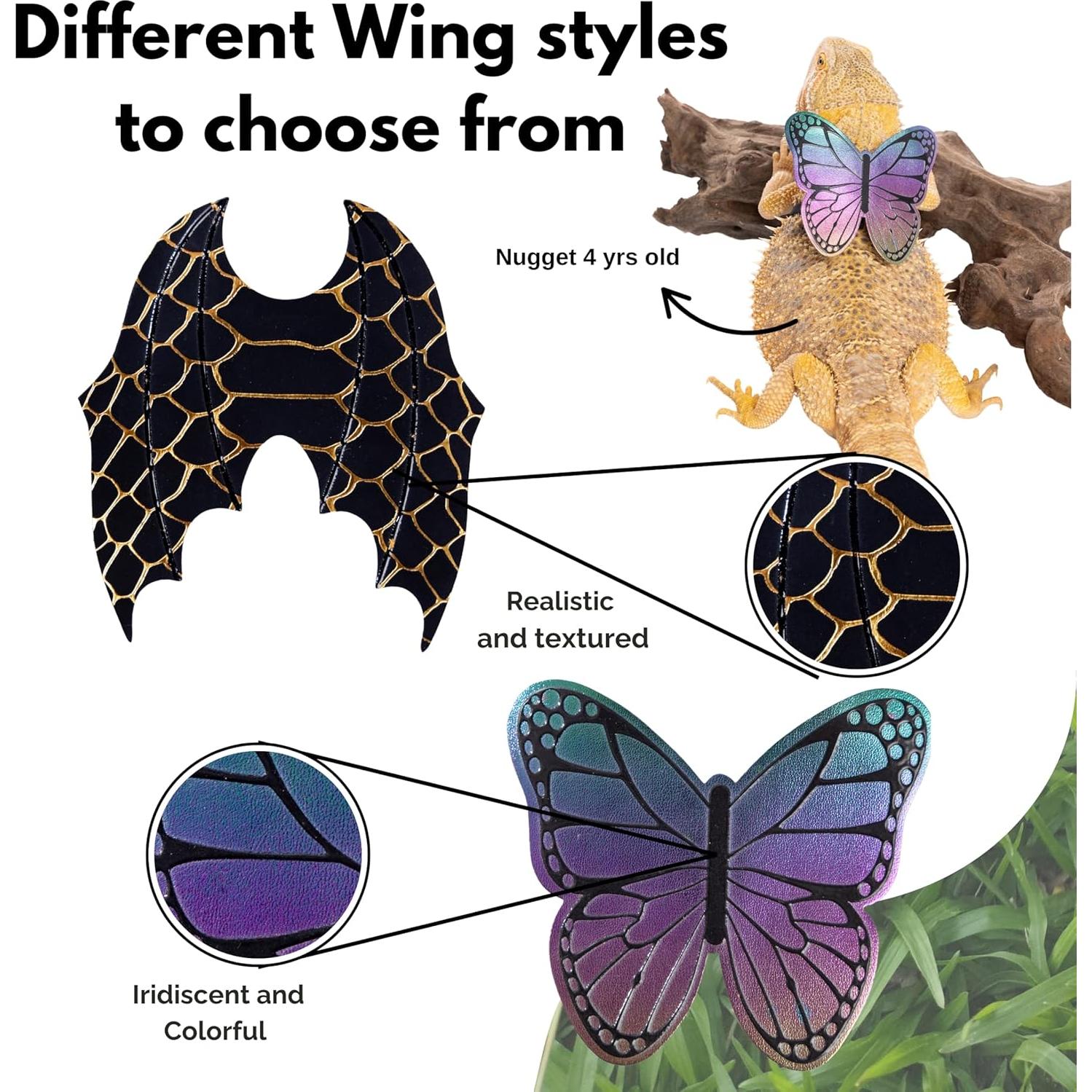 Conjunto Arnés y Correa Ajustable Scaly Pet para Dragón Barbudo