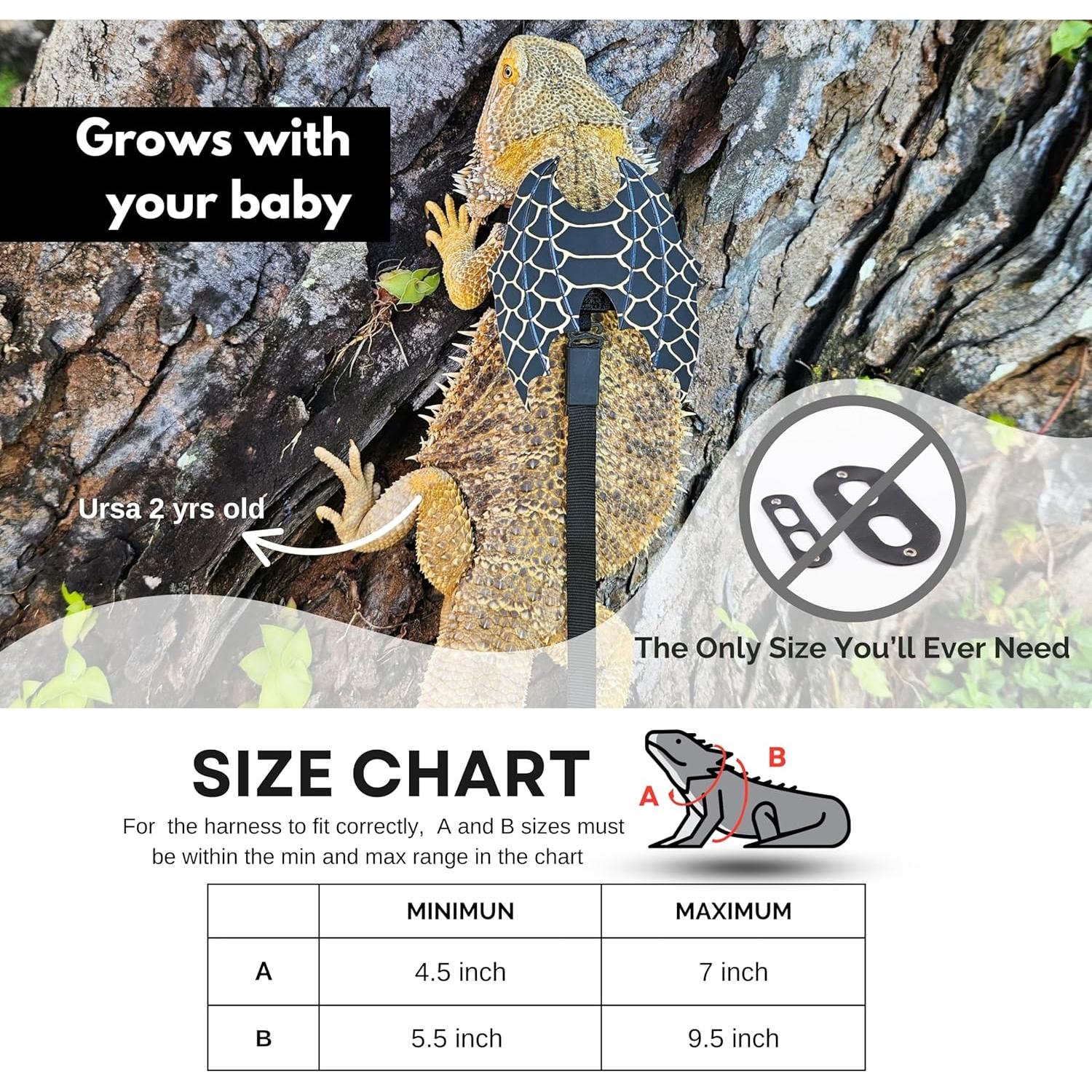 Conjunto Arnés y Correa Ajustable Scaly Pet para Dragón Barbudo