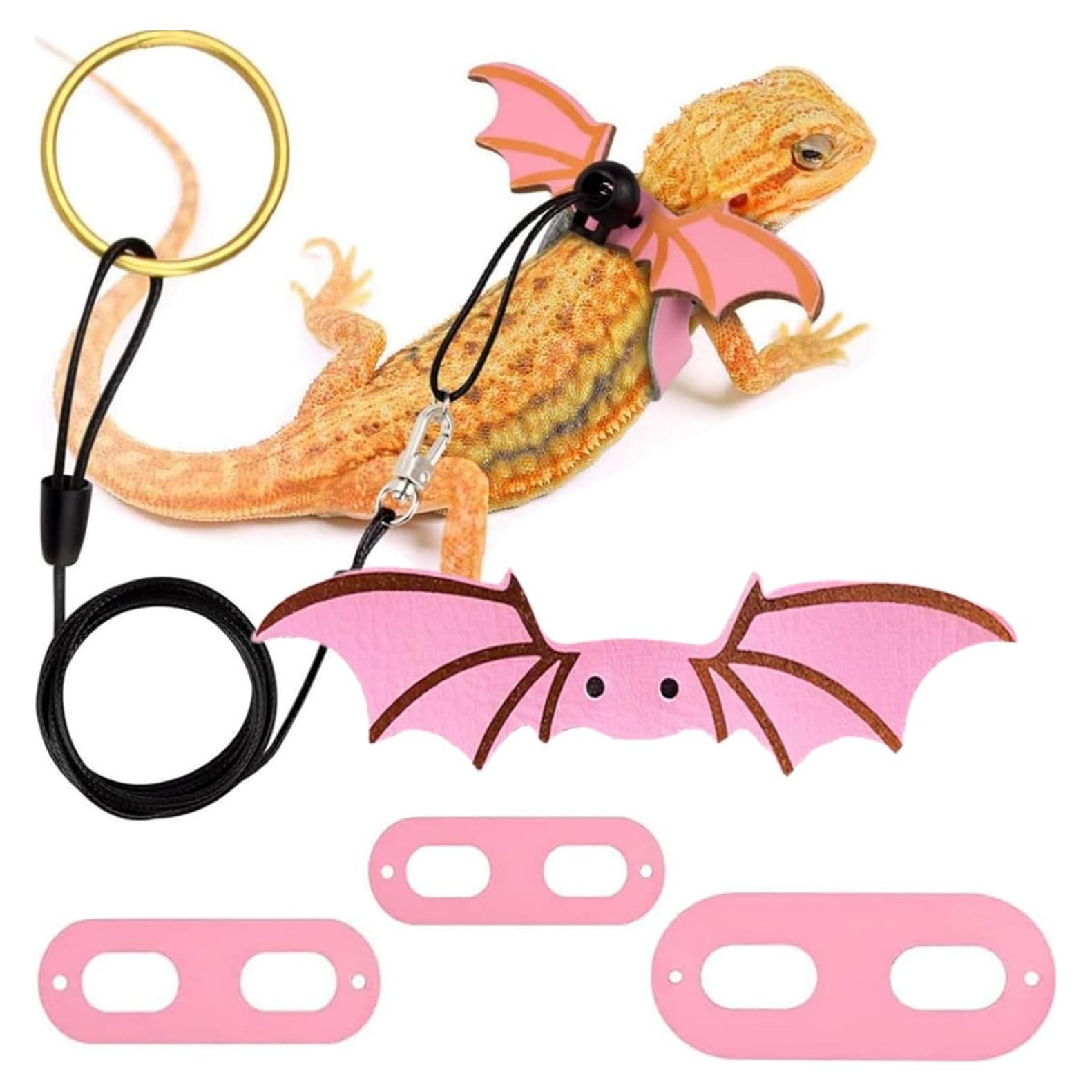 Conjunto Correa y Arnés Ajustable para Dragón Barbudo Fampery