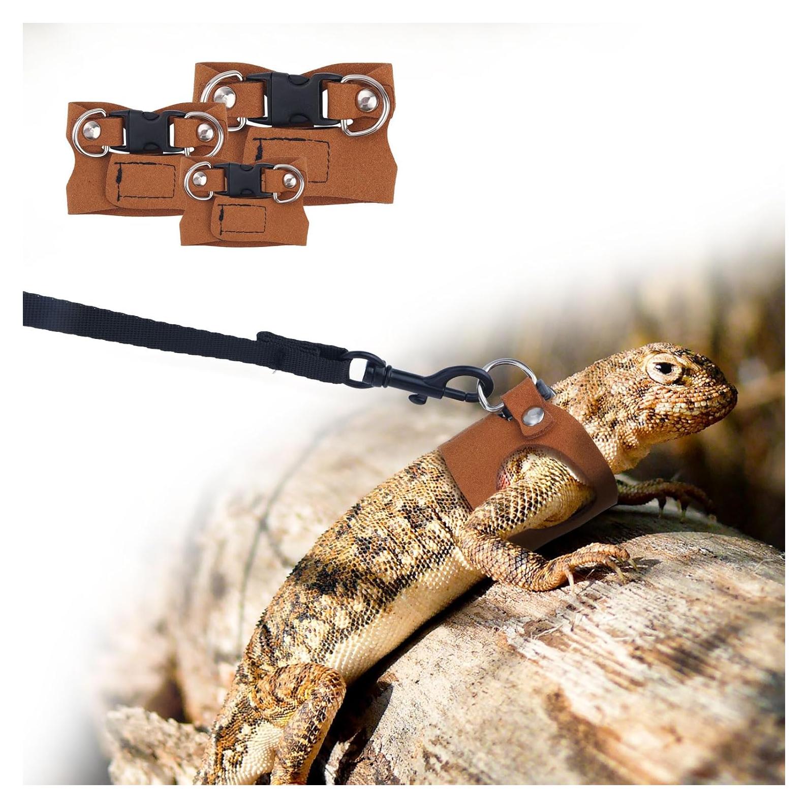 3 Pcs Arnés Ajustable para Dragón Barbudo Gosknor con Correa