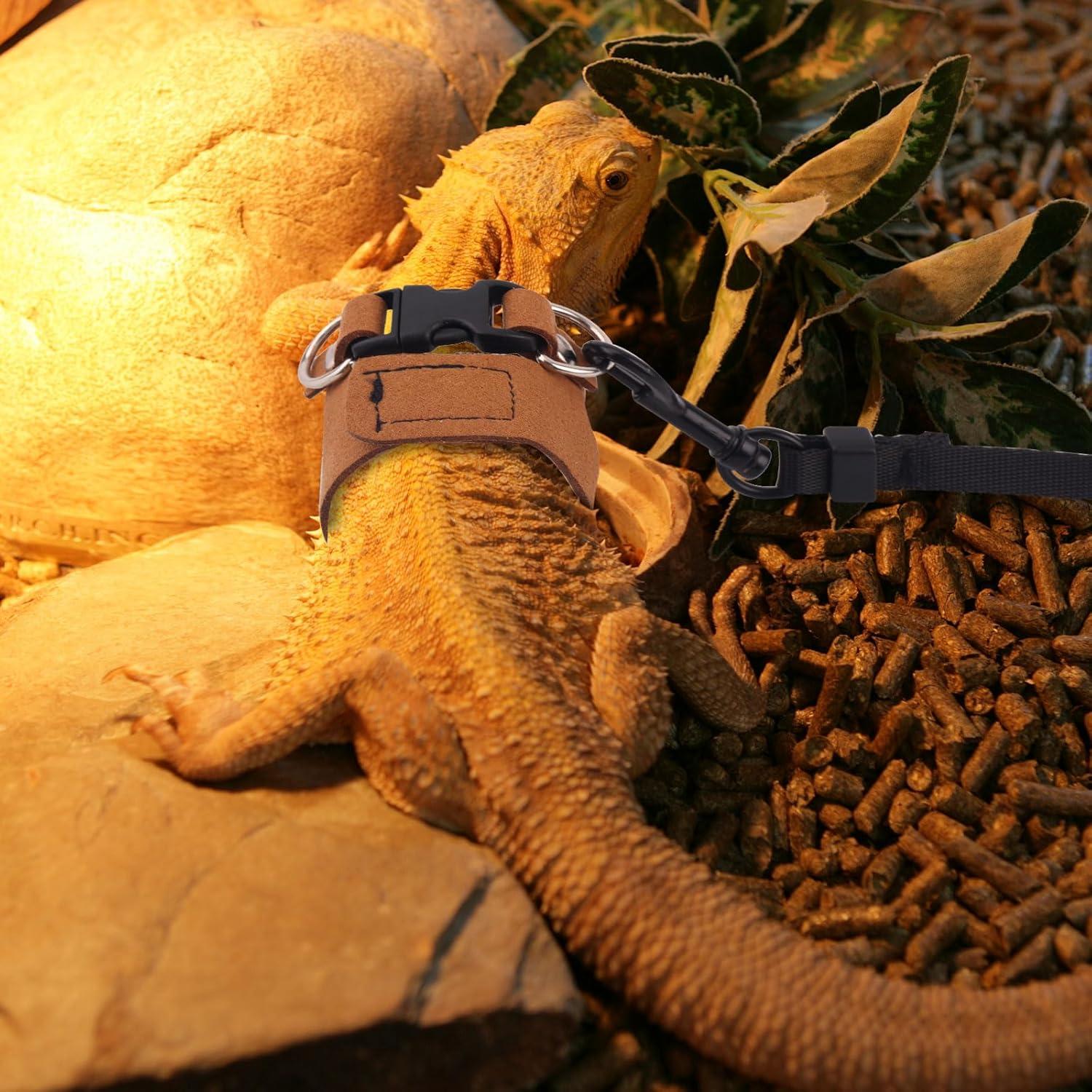 3 Pcs Arnés Ajustable para Dragón Barbudo Gosknor con Correa