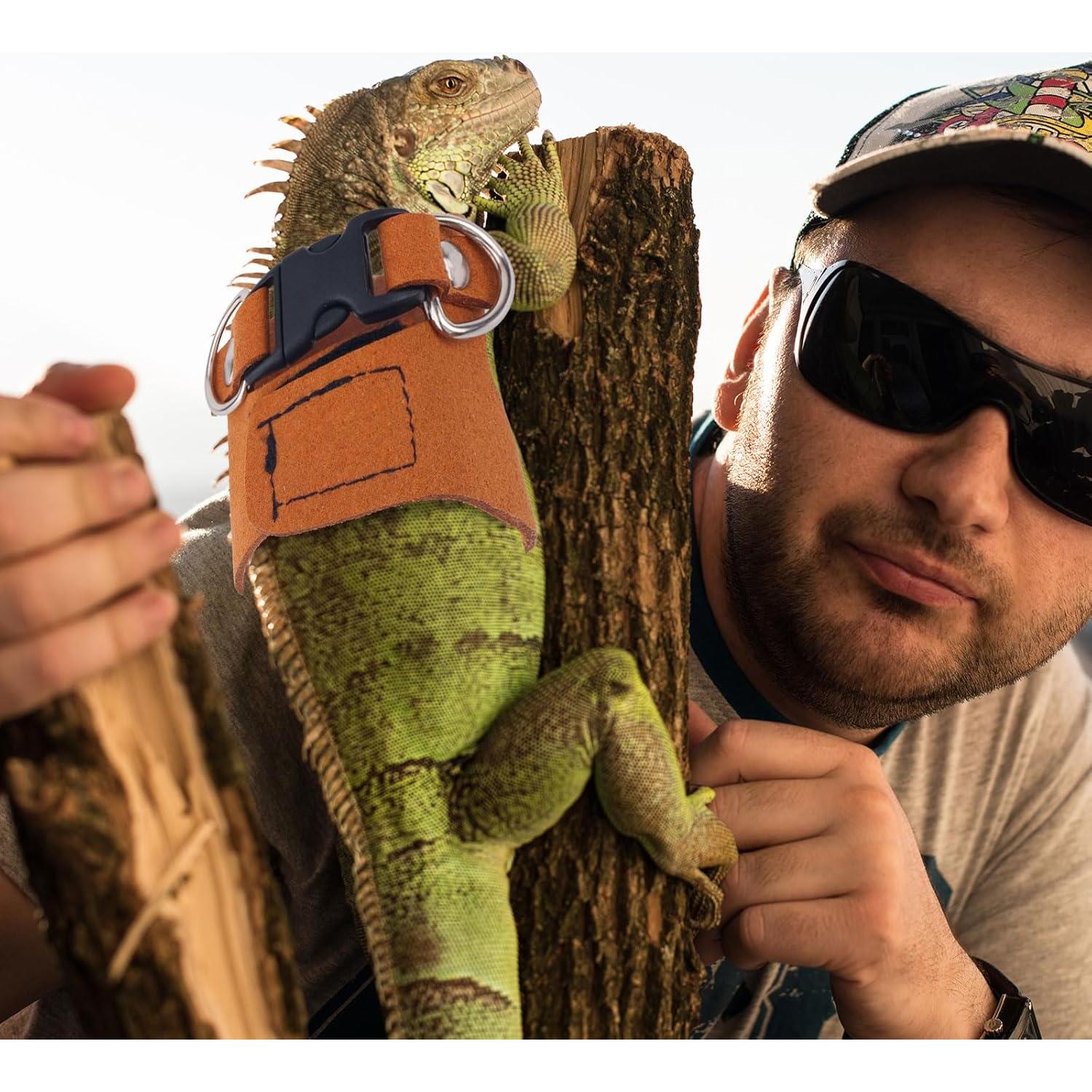 3 Pcs Arnés Ajustable para Dragón Barbudo Gosknor con Correa