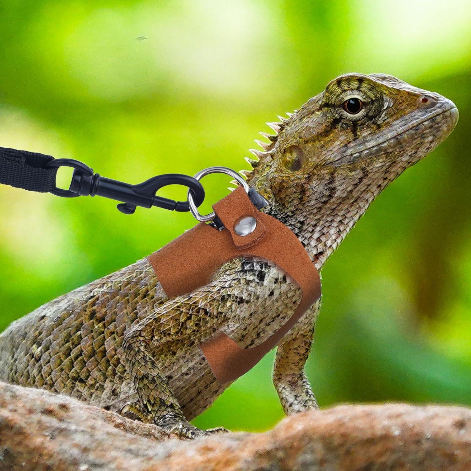 3 Pcs Arnés Ajustable para Dragón Barbudo Gosknor con Correa