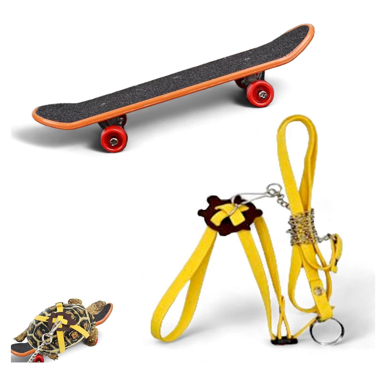 Correa Ajustable y Patineta para Tortugas PurrrfectionPet