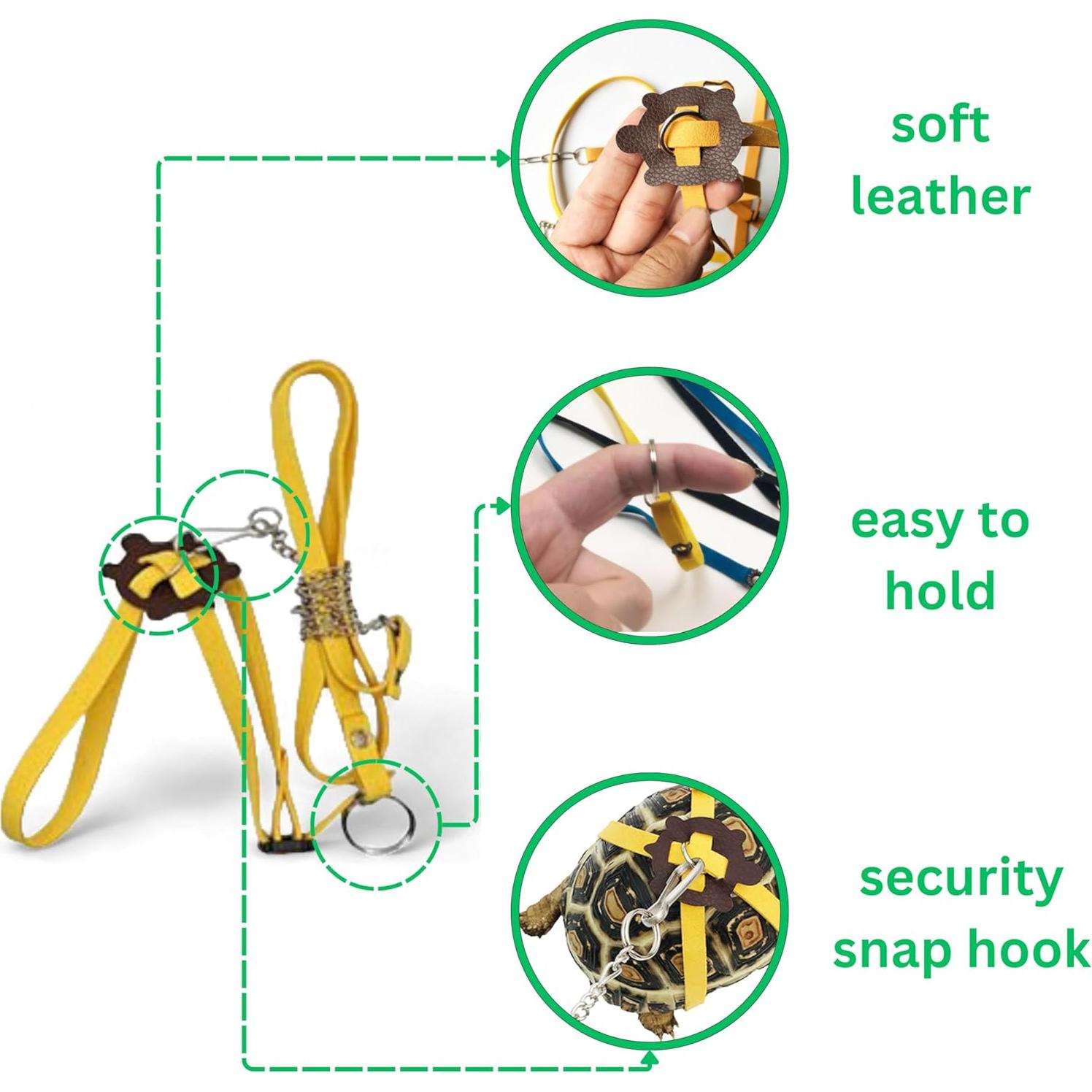 Correa Ajustable y Patineta para Tortugas PurrrfectionPet