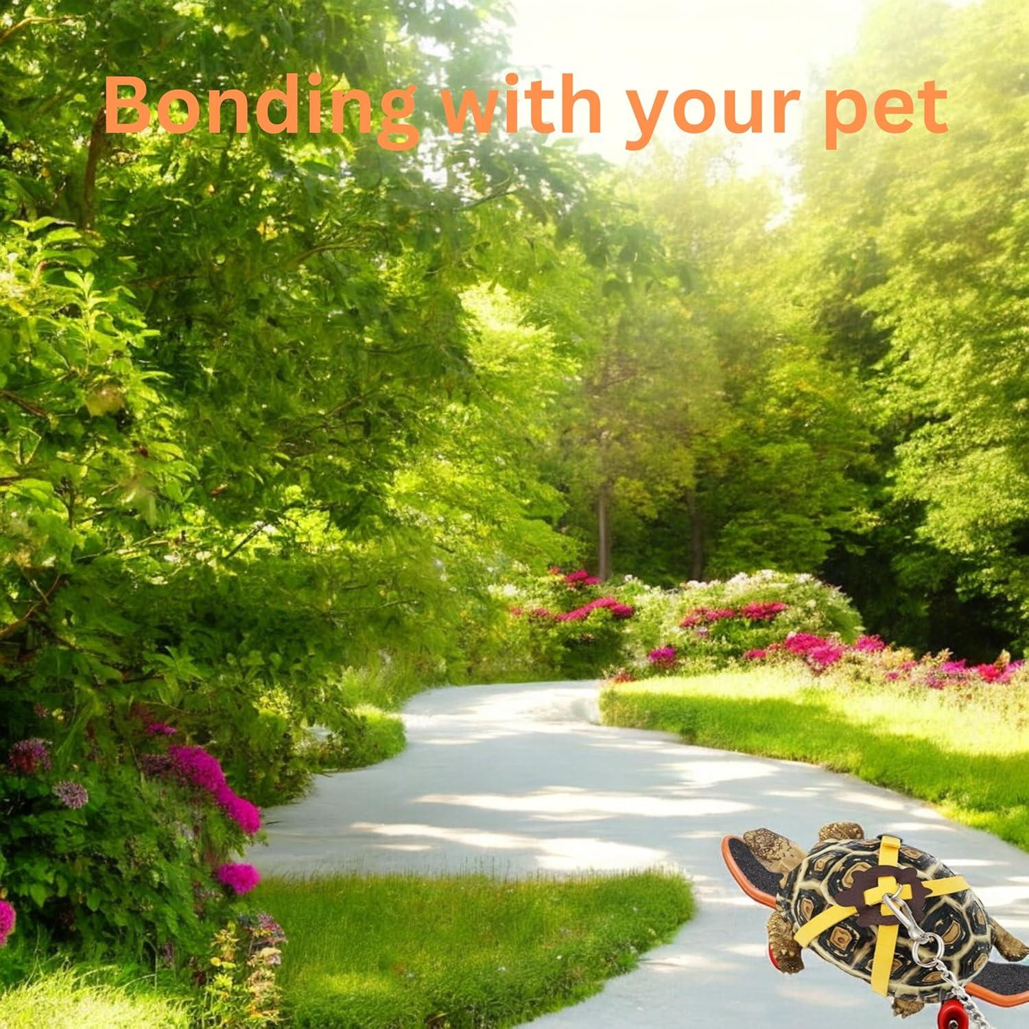 Correa Ajustable y Patineta para Tortugas PurrrfectionPet