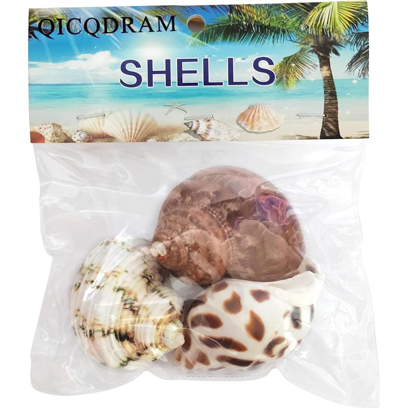 3 PCS Conchas Naturales para Cangrejo Ermitaño 2-2.7 Pulgadas