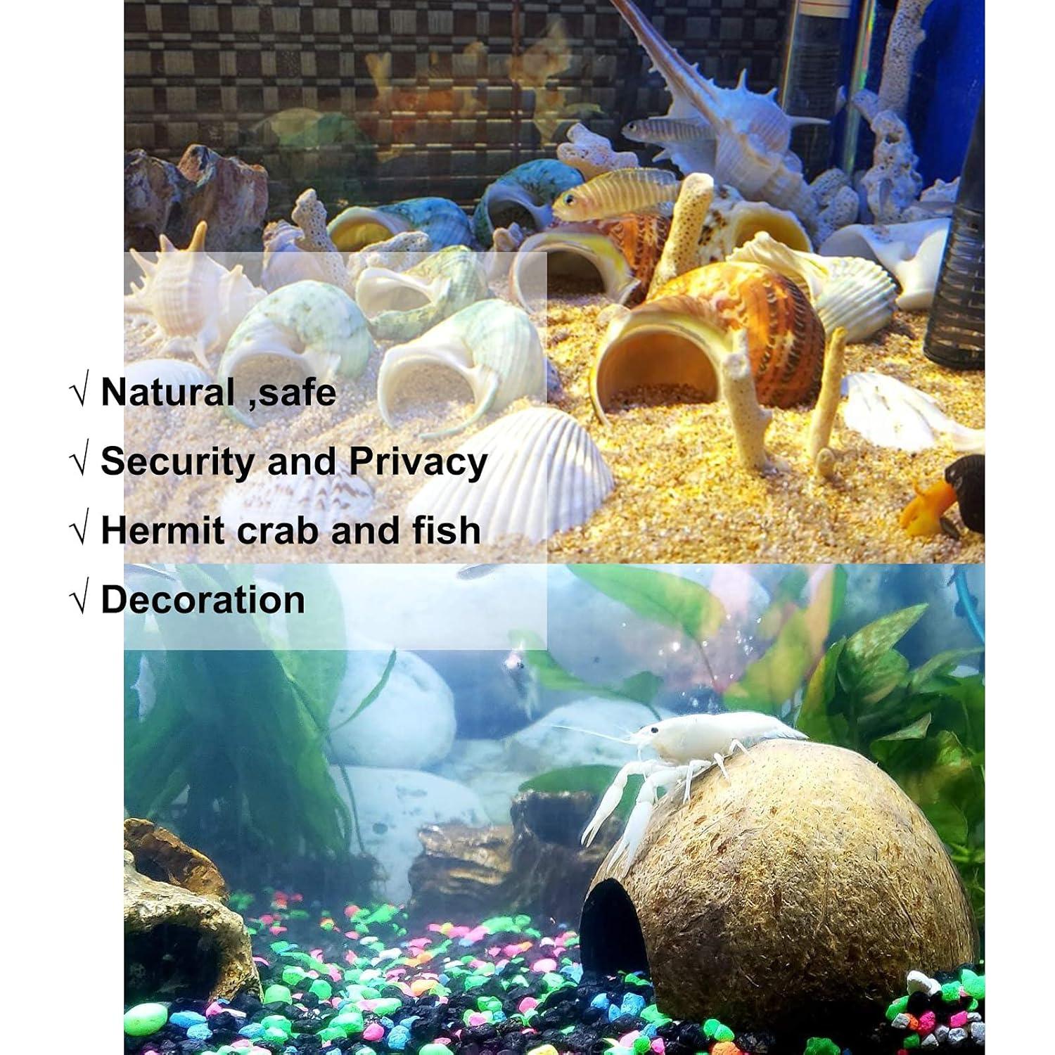 Cámaras de Cangrejo Ermitaño Sinkoo 15 PCS Conchas Marinas