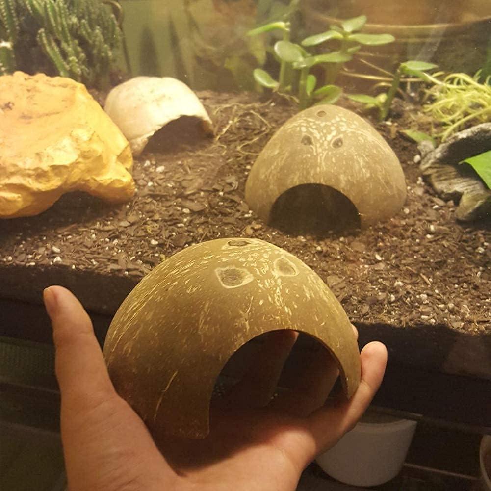 Cámaras de Cangrejo Ermitaño Sinkoo 15 PCS Conchas Marinas