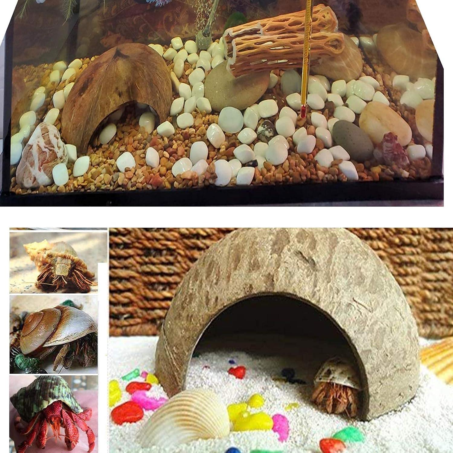 Cámaras de Cangrejo Ermitaño Sinkoo 15 PCS Conchas Marinas