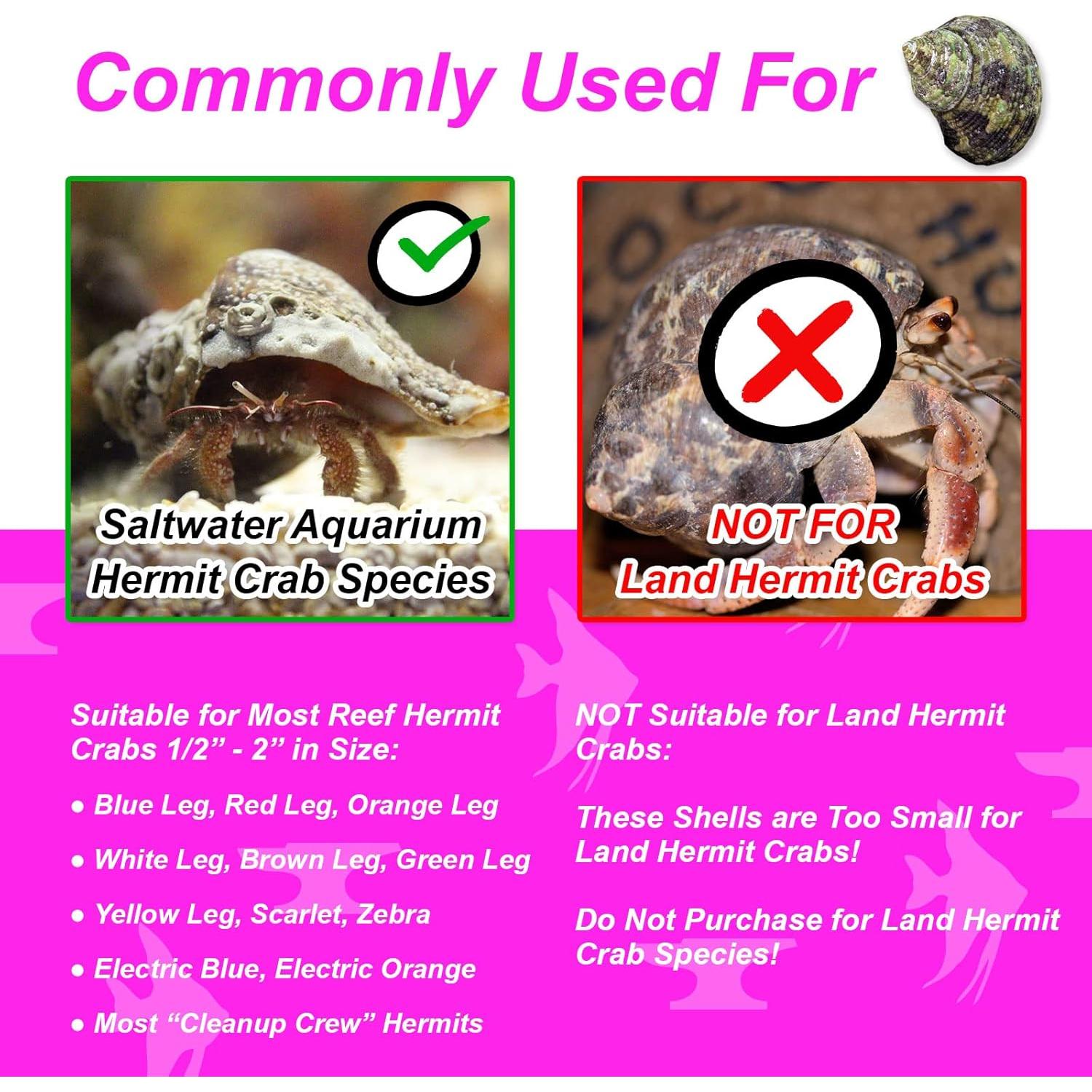 Conchas de Repuesto para Cangrejos Ermitaños Nature Forged 340g