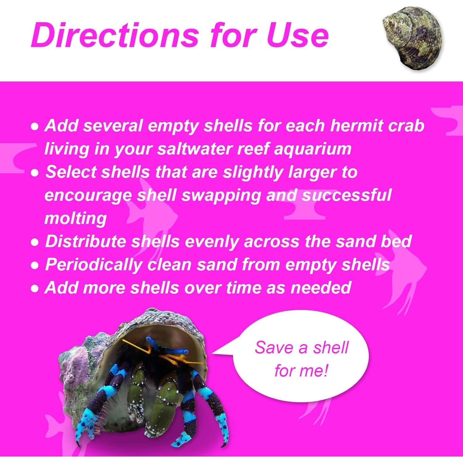 Conchas de Repuesto para Cangrejos Ermitaños Nature Forged 340g