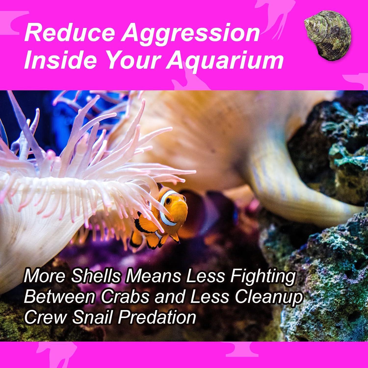 Conchas de Repuesto para Cangrejos Ermitaños Nature Forged 340g