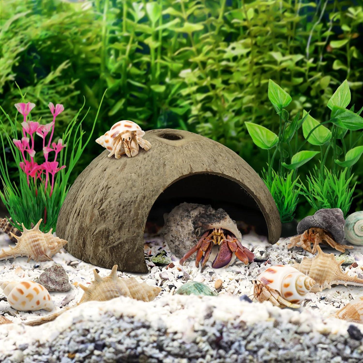 Suministros para Cangrejo Ermitaño QUOZUO - 22 Piezas