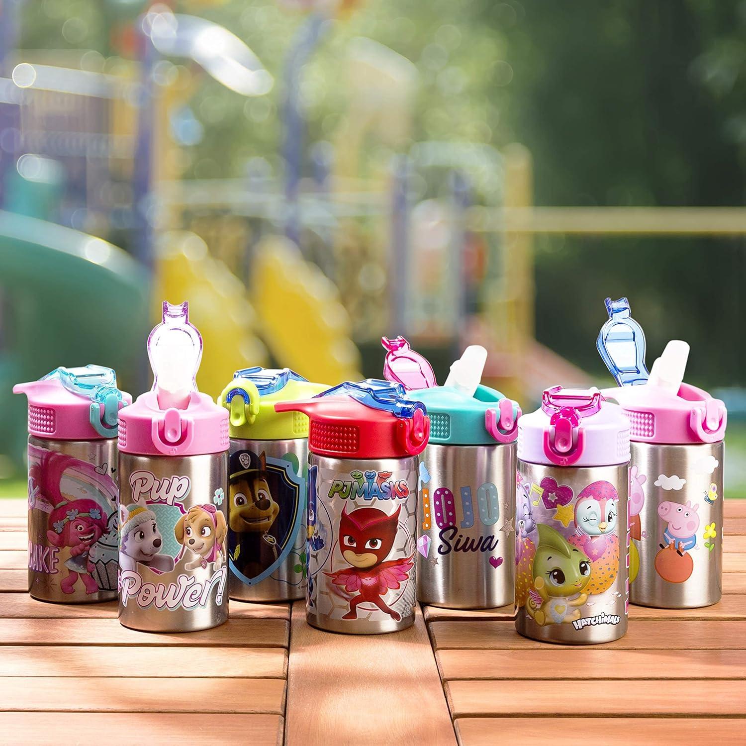 Botella de Agua Inoxidable Zak Designs Paw Patrol Skye 457ml