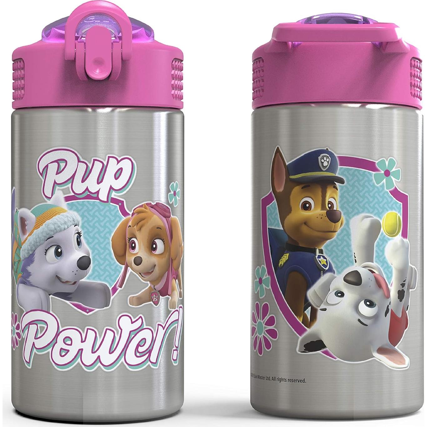 Botella de Agua Inoxidable Zak Designs Paw Patrol Skye 457ml
