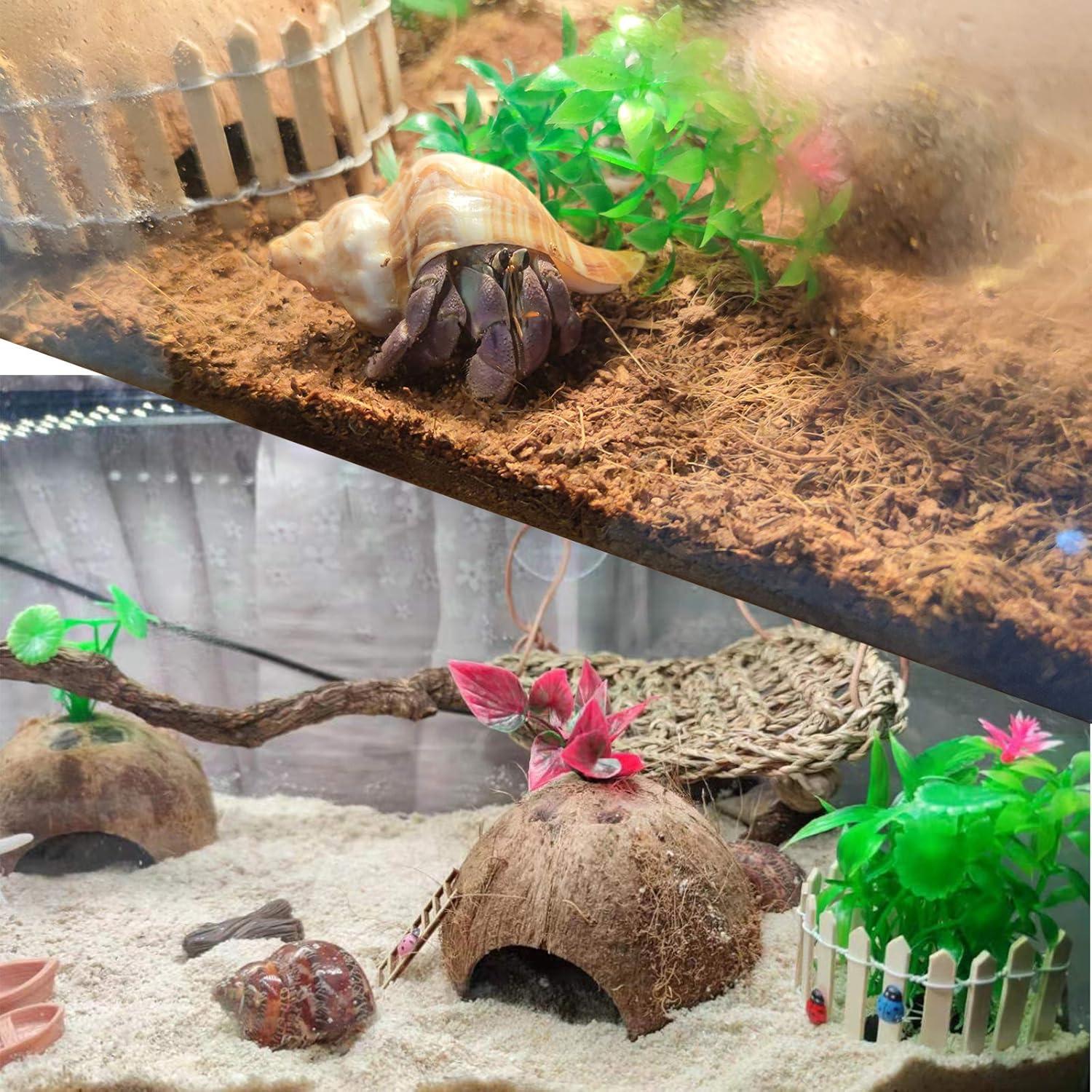 Conchas de Cangrejo Ermitaño SINKOO 17PCS Natural 1.5-4.1 cm