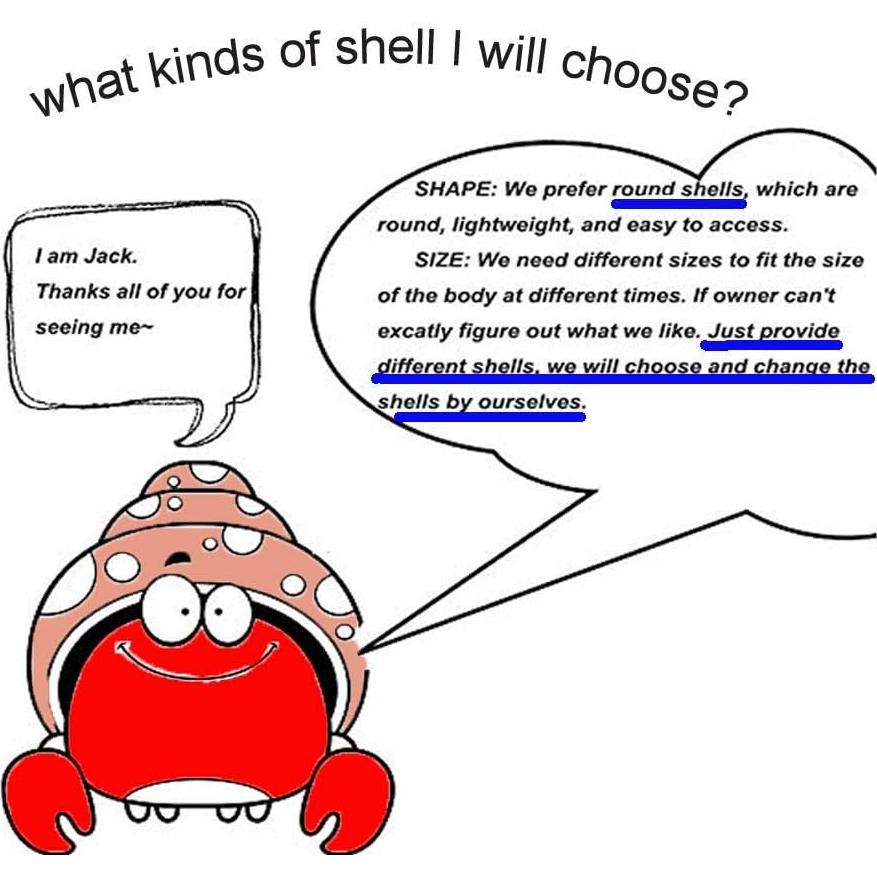 Conchas de Cangrejo Ermitaño Naturales LuckyCC 9 Piezas