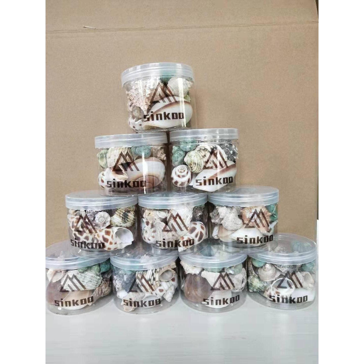 Conchas de Cangrejo Ermitaño Naturales LuckyCC 9 Piezas