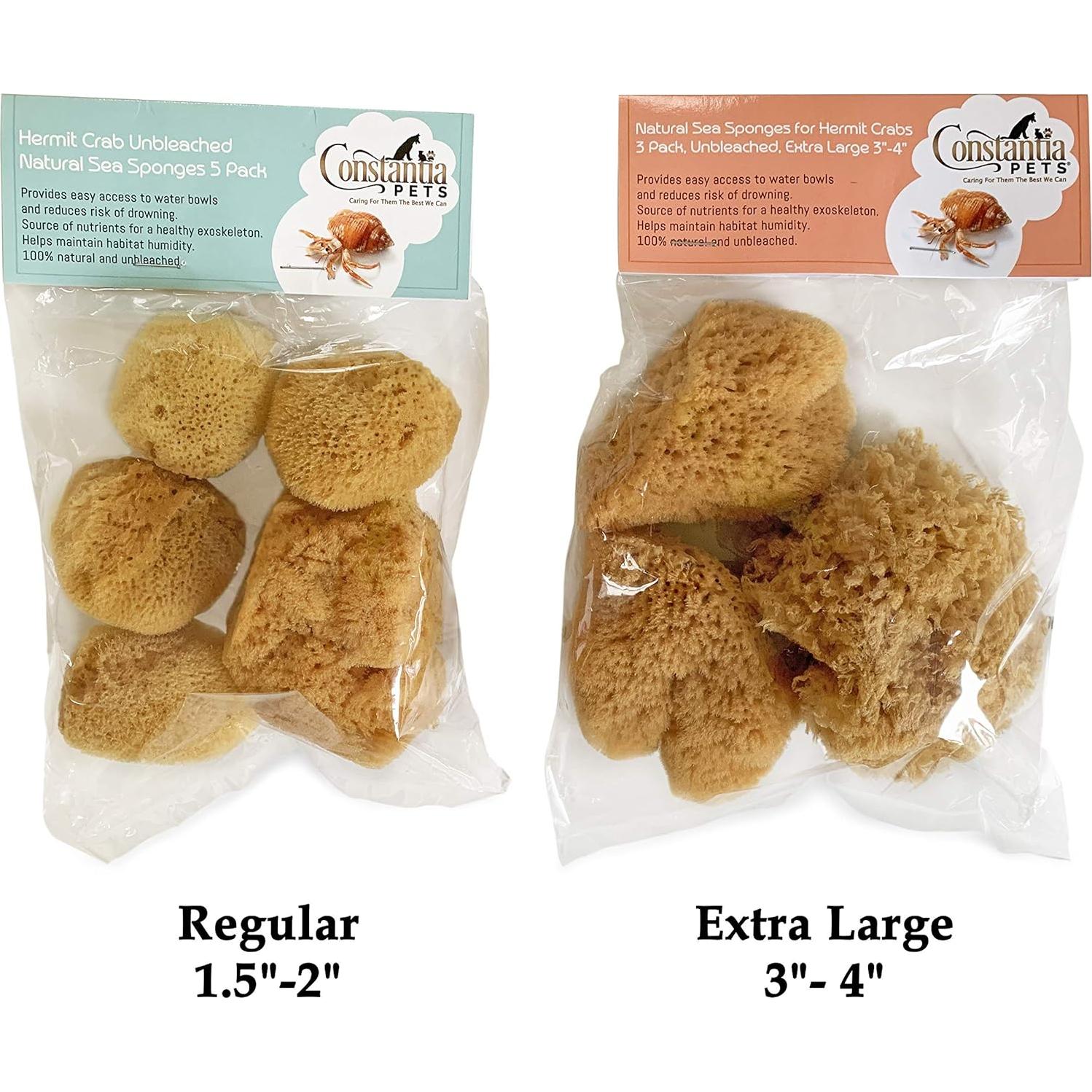 Esponjas de Mar para Cangrejos Ermitaños - Paquete de 5 Sin Blanquear