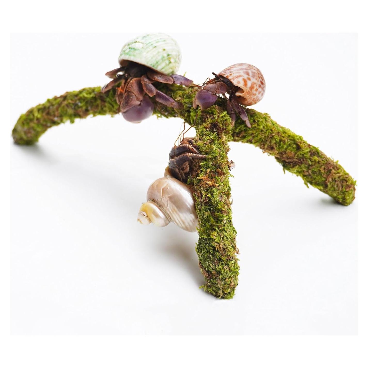 Juguete para Escalar Cangrejos Ermitaños Jinymral 22.86x12.7cm