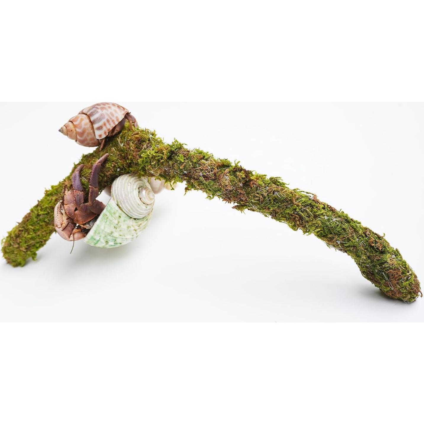 Juguete para Escalar Cangrejos Ermitaños Jinymral 22.86x12.7cm