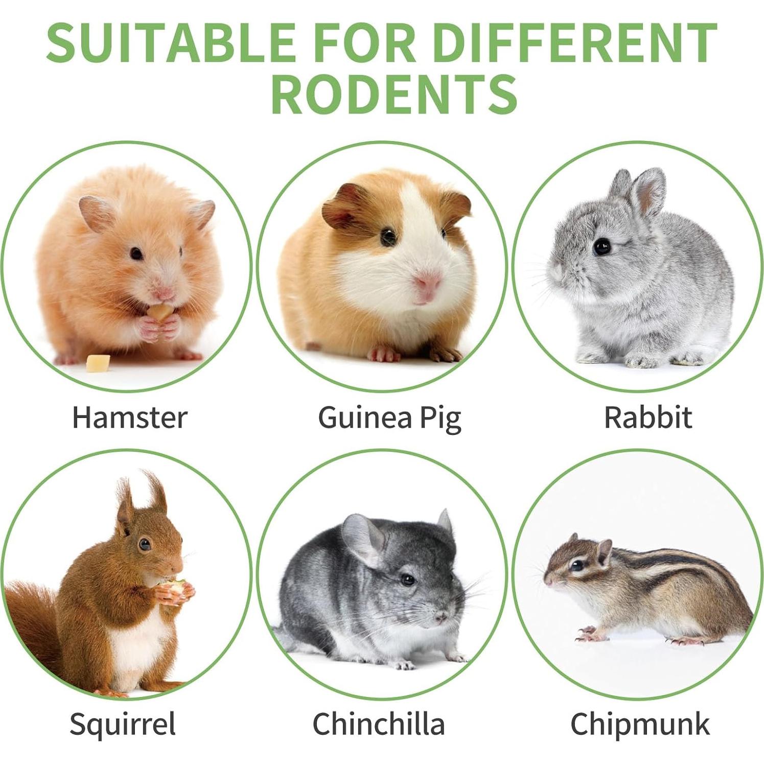 Juguetes Naturales para Roer Conejos y Cobayas JONSANTY 50-60 Piezas