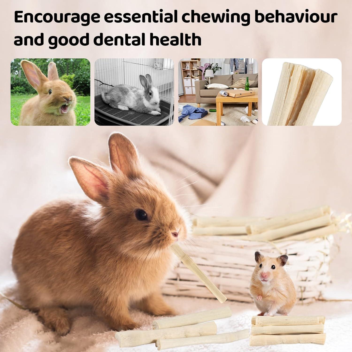 Palitos de Madera de Bambú Dulce Sukh 240g para Conejos