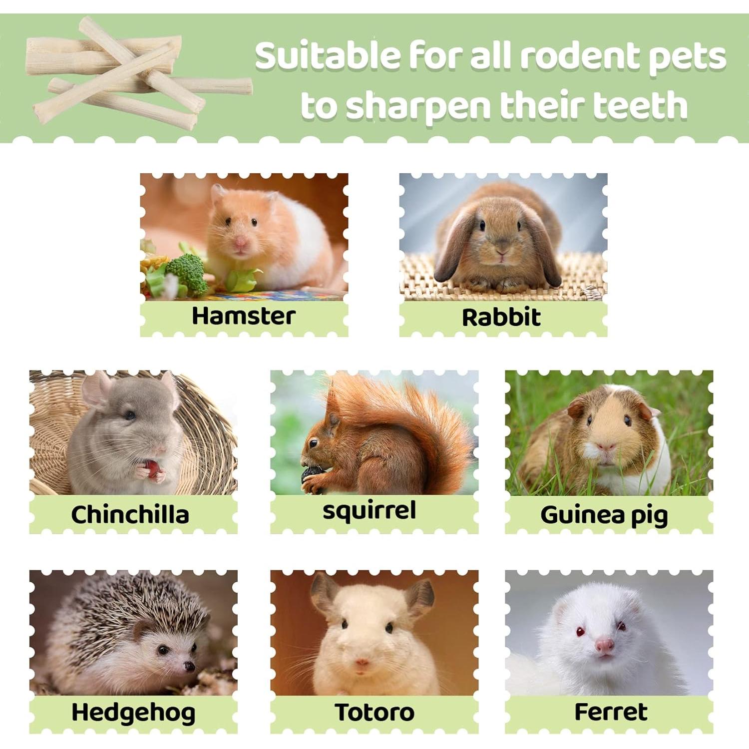 Palitos de Madera de Bambú Dulce Sukh 240g para Conejos