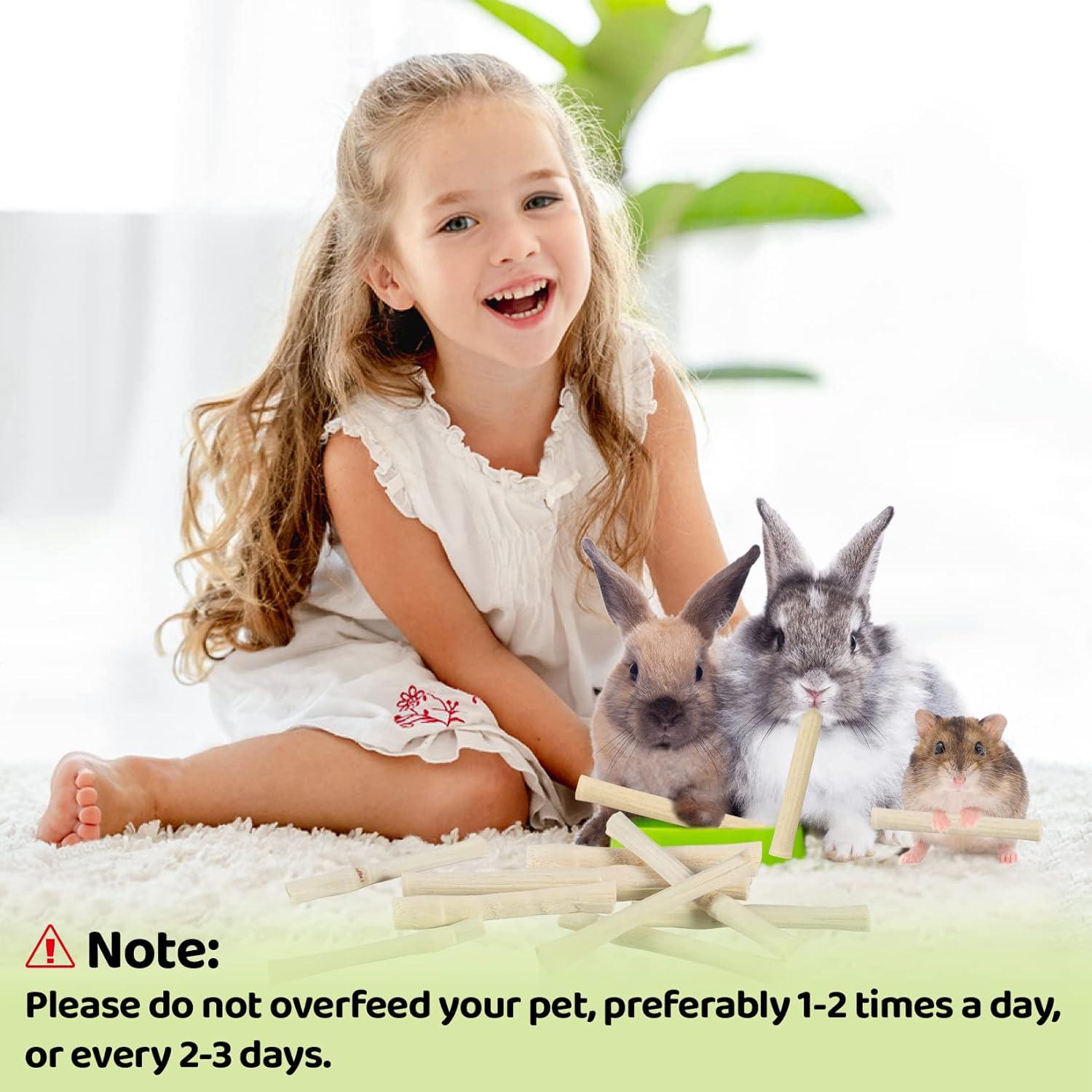 Palitos de Madera de Bambú Dulce Sukh 240g para Conejos