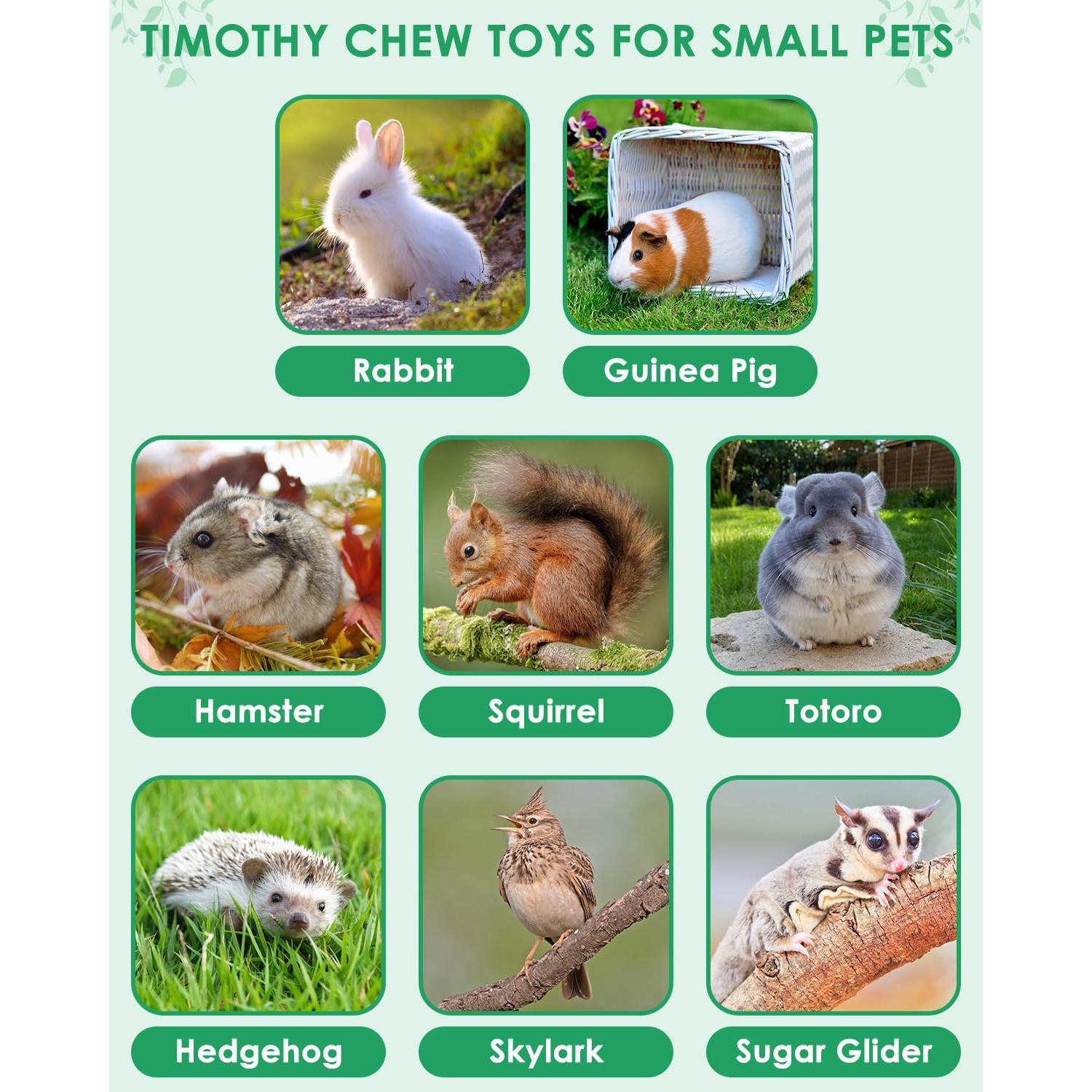 Juguetes para Masticar ERKOON 53 Piezas para Conejos y Hámsters