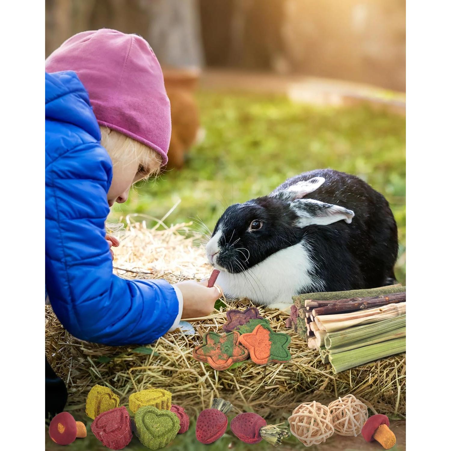 Juguetes para Masticar ERKOON 53 Piezas para Conejos y Hámsters